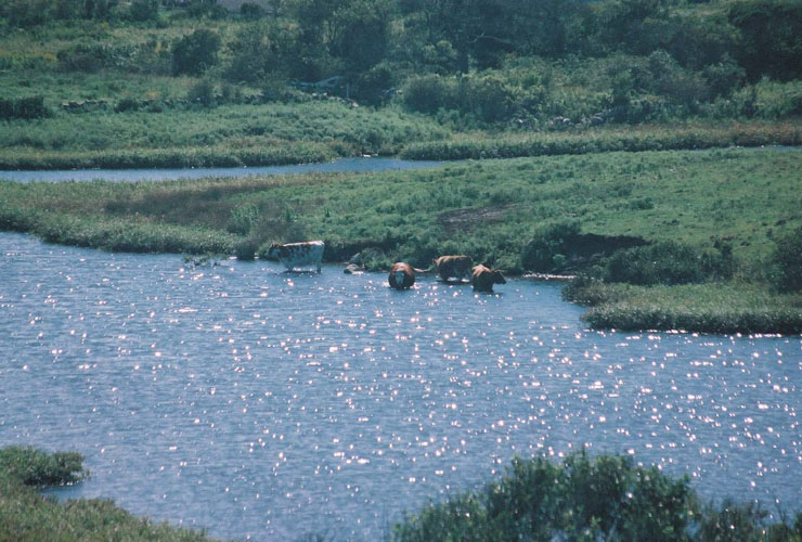2000_09_04