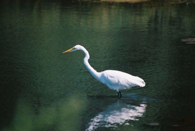 2000_09_26