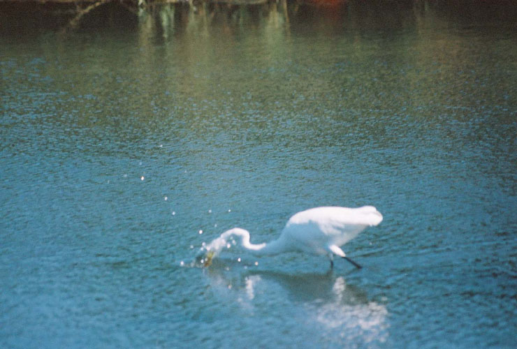 2000_09_28